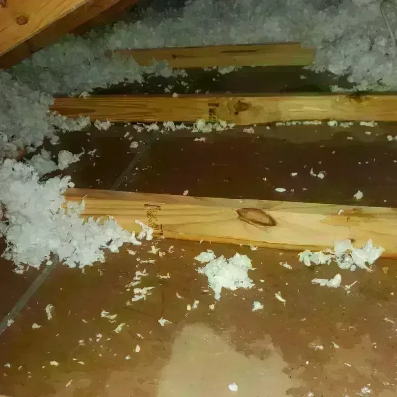 Attic Water Damage in Fresno, CA