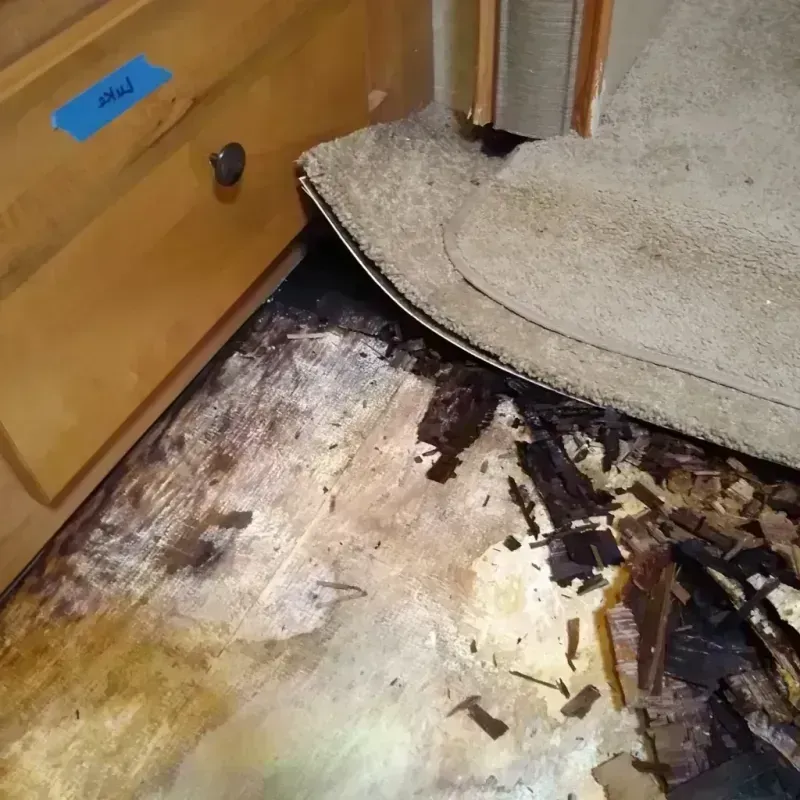 Wood Floor Water Damage in Fresno, CA